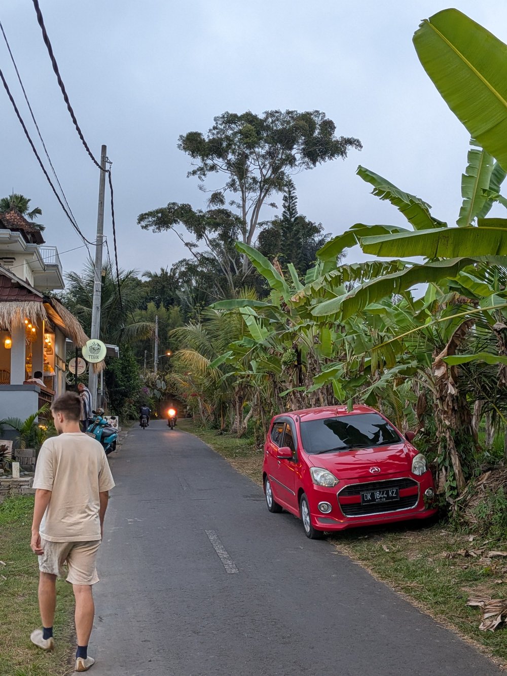 A narrow lane in Bali at dusk, a red car parked under banana trees